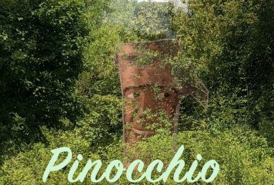 Pinocchio (articolo)