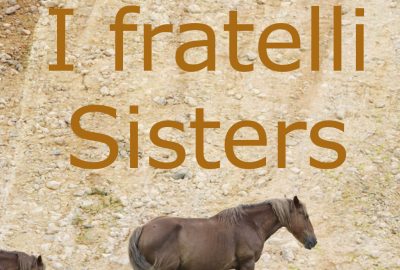 I fratelli Sisters [The Sisters Brothers] (Jacques Audiard)