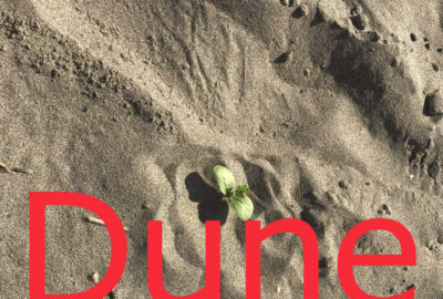 Dune (Denis Villeneuve)